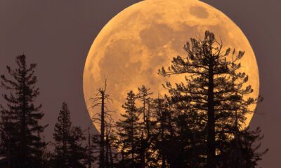 here’s-how-the-november-supermoon-will-affect-every-zodiac-sign
