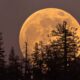 here’s-how-the-november-supermoon-will-affect-every-zodiac-sign