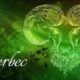 horoscop-urania-saptamanal-pentru-berbec.-previziuni-pentru-perioada-13-–-19-decembrie-2025