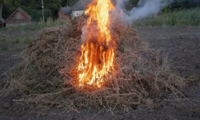 ce-inseamna-expresia-„a-pune-paie-pe-foc”